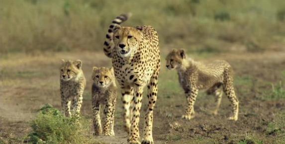 得像一阵风, 就没给它力 得像一阵风, 就没给它力