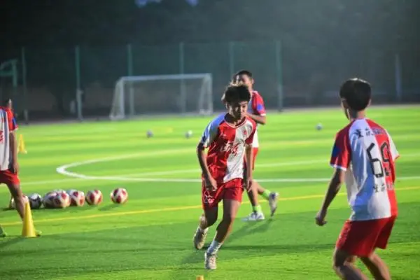 拟定, msn, 高中