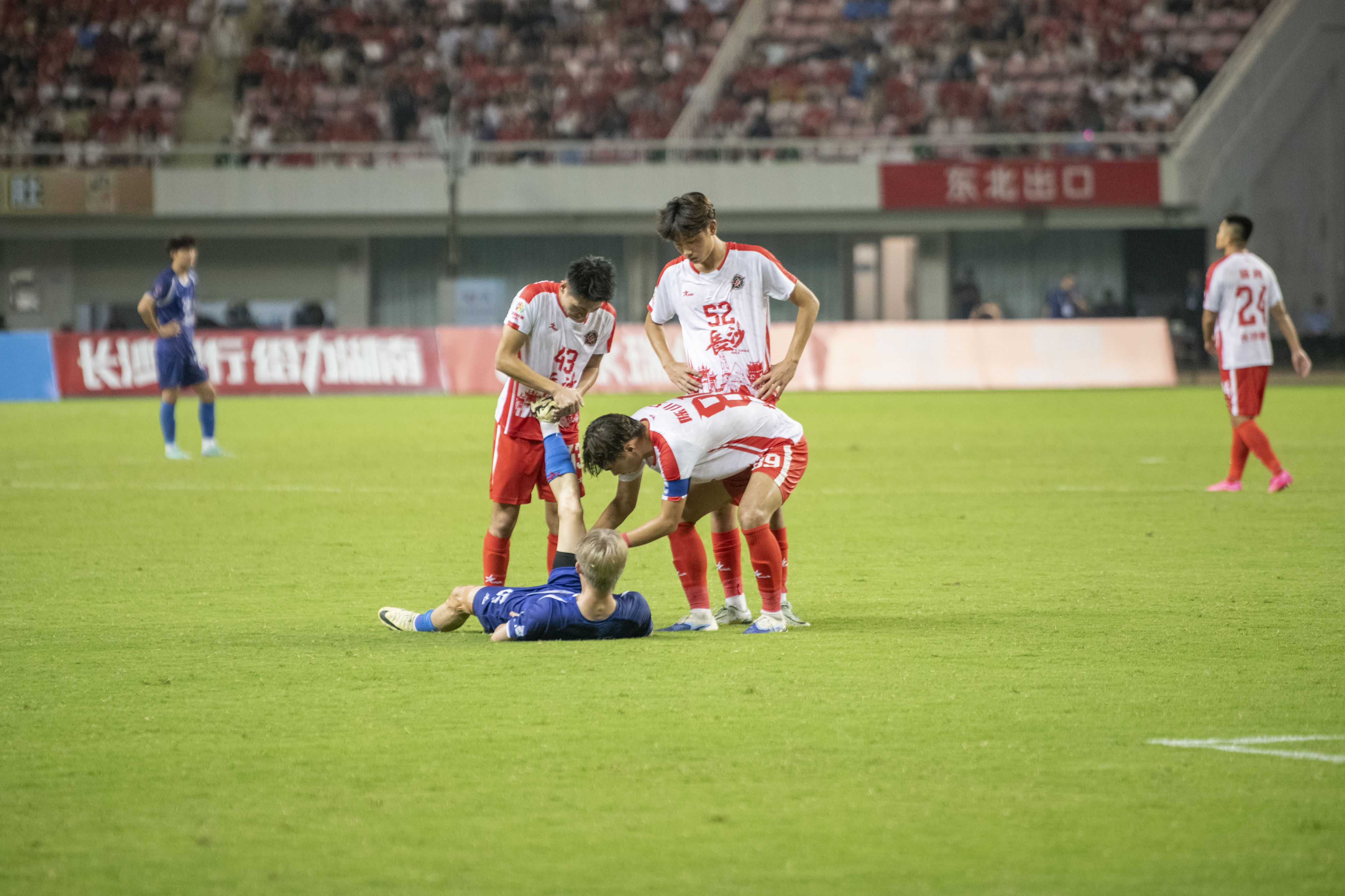 底队进行了, yid, img