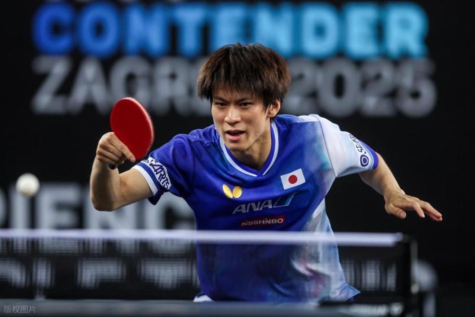 周启豪之后 周启豪之后